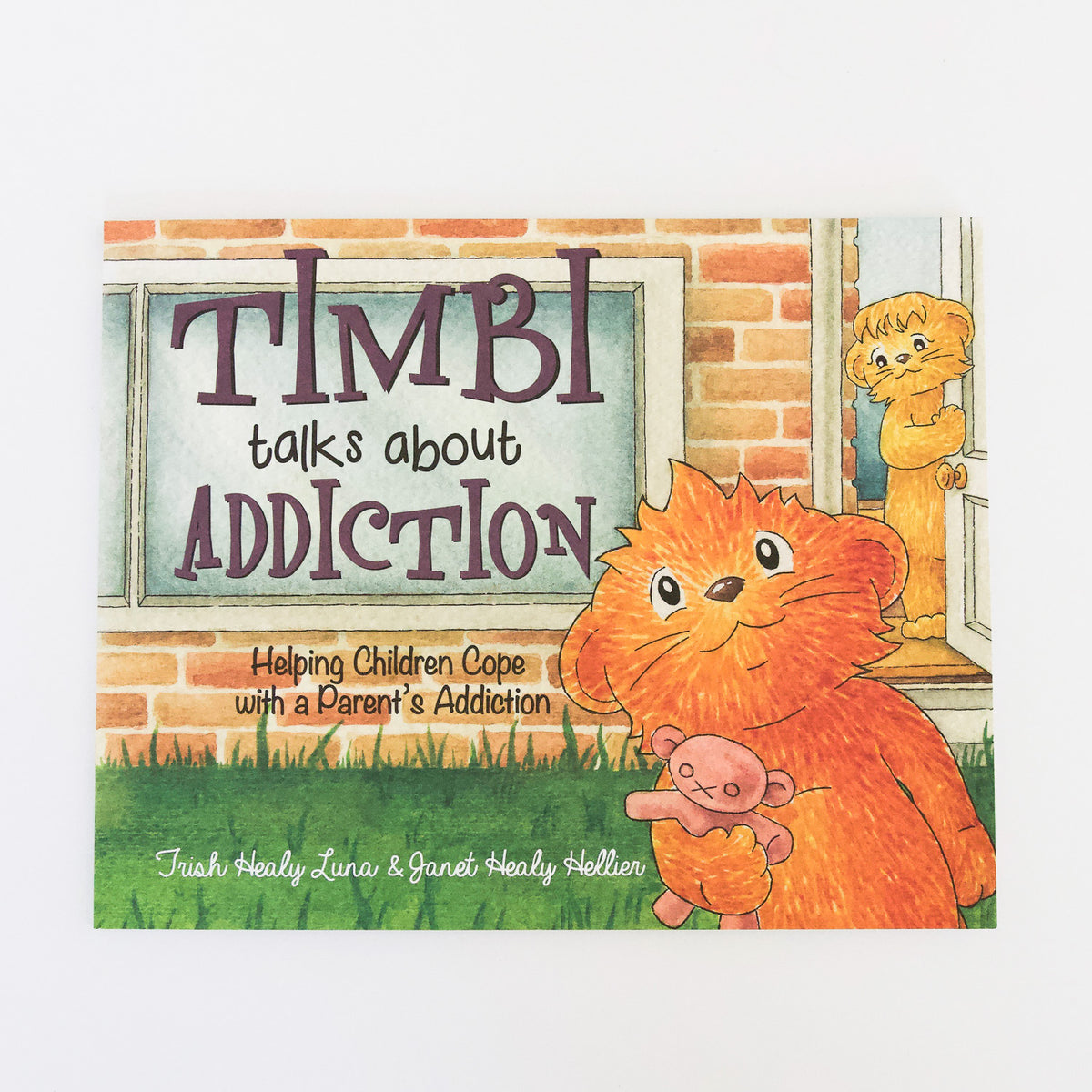 Timbi Talks About Addiction Book